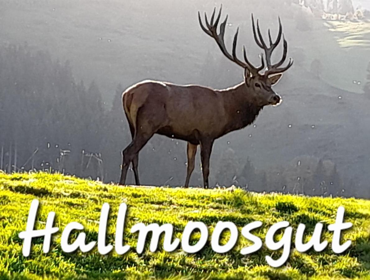 Hallmoosgut Sankt Johann im Pongau Εξωτερικό φωτογραφία