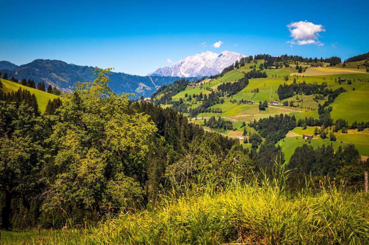 Hallmoosgut Sankt Johann im Pongau Εξωτερικό φωτογραφία